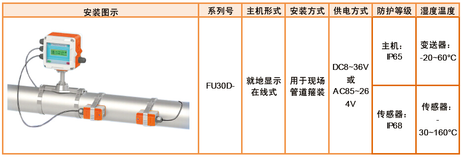 FU30D-就地在线式